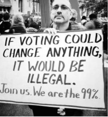 Occupy Wall Street If Voting Changed Things
