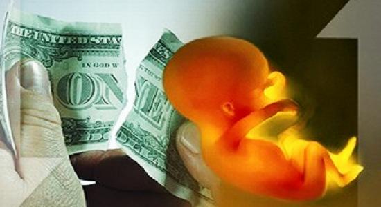 Do Economic Arguments Against Abortion Make Sense?