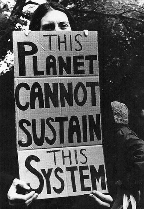Our Unsustainable Planet