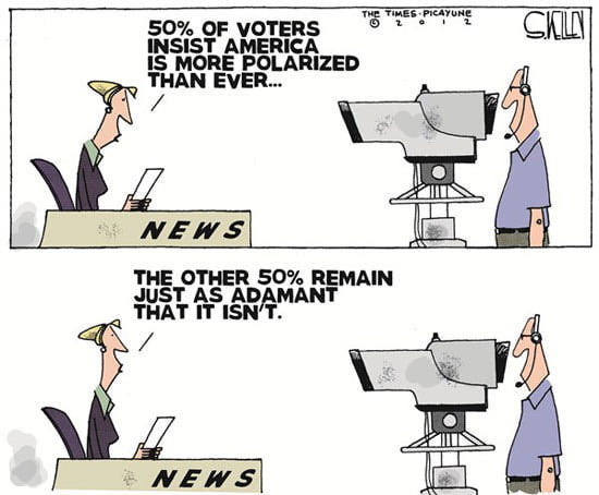 Best Political Cartoons 2012 Polarization