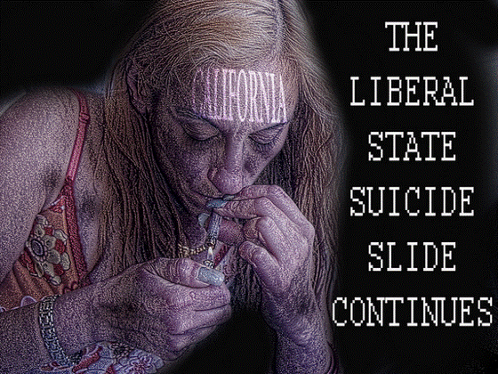 Right Wing Conspiracies Liberal Suicide