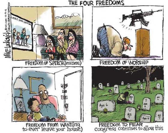 Gun Control Cartoons Freedoms