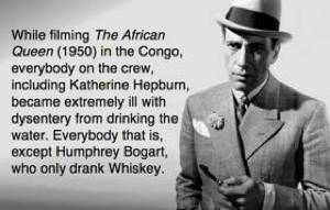 Best Theories Humphrey Bogart