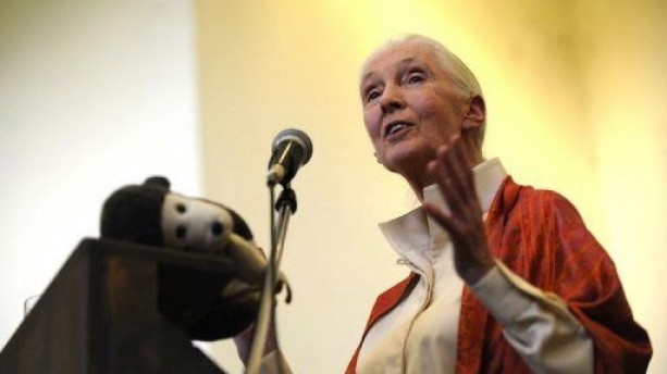 Jane Goodall Climate Change
