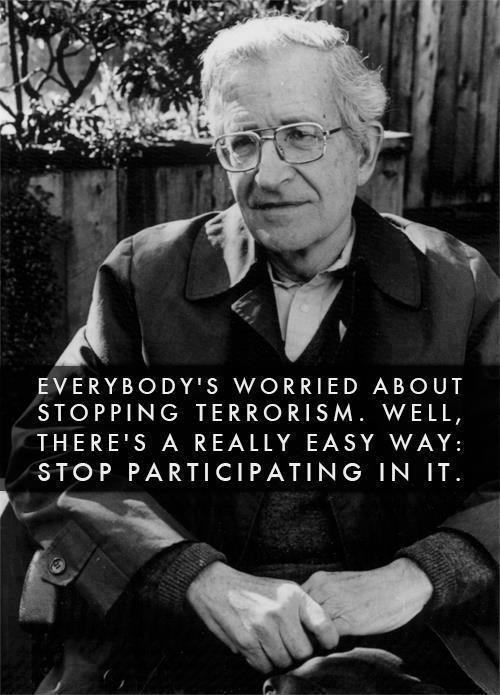Noam Chomsky Terrorism