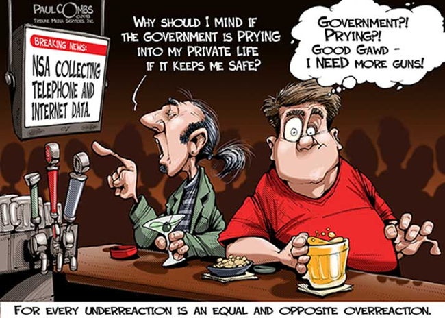 NSA Cartoons 10