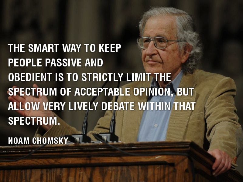 Noam Chomsky Passive Obedience
