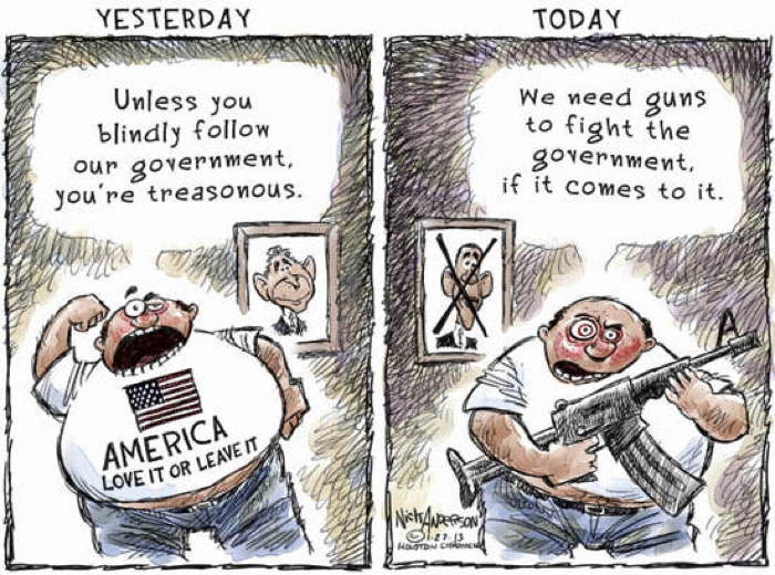 2013 Political Cartoons Patriotism