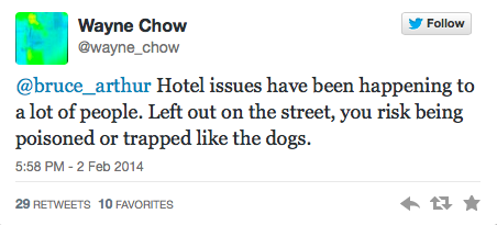 Sochi Tweets Dogs