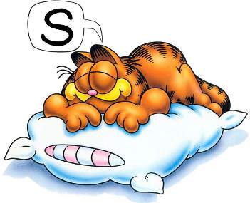 Sleeping Garfield Cartoon
