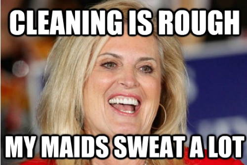 Ann Romney On Cleaning