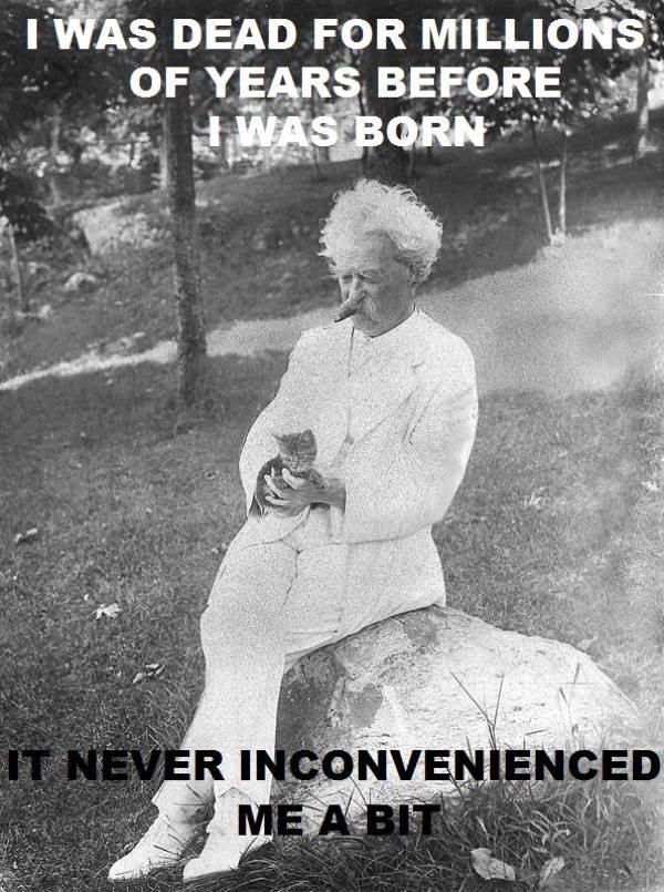 Mark Twain Quotes Inconvenience