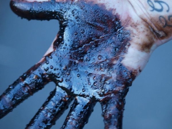 mayflower-spill-three