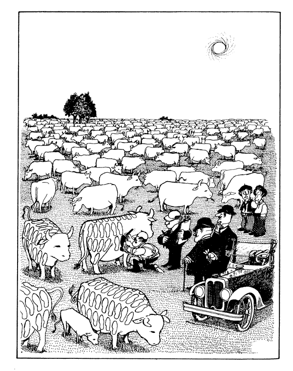 Quino Cartoons 2
