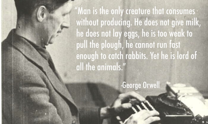 George Orwell Quotes on Man