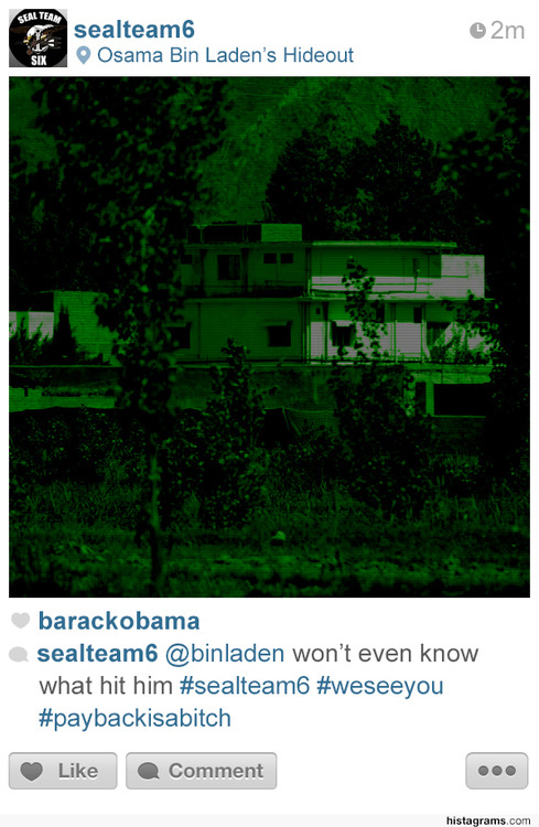 Histagram Bin Laden