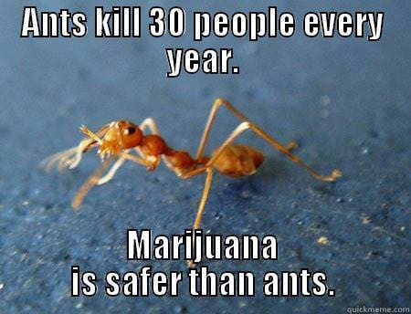 Weed Memes Ants