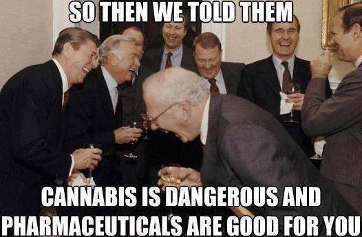 Weed Memes Cannabis Dangerous